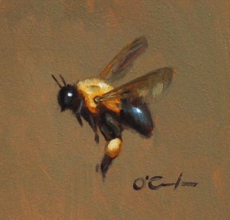 Jennifer O'Cualain - Bee Generous