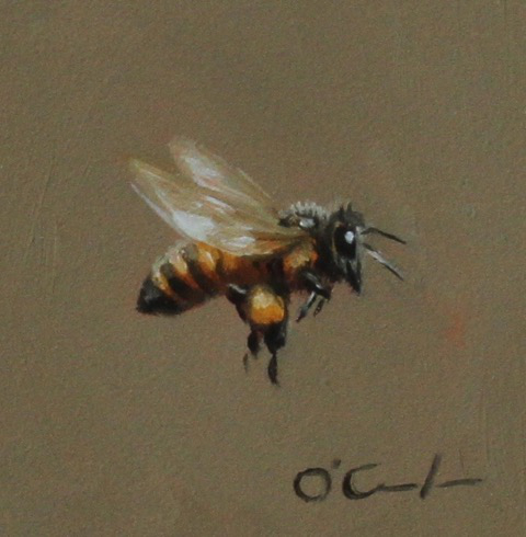 Bee Extraordinary