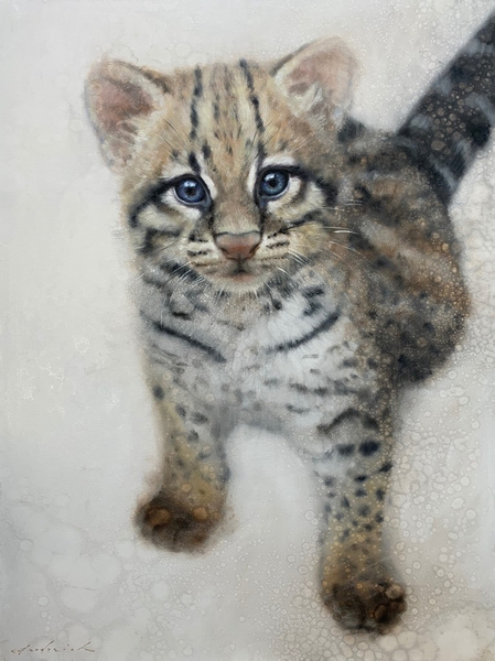 Little Ocelot