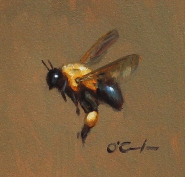 Bee Generous - Jennifer O'Cualain