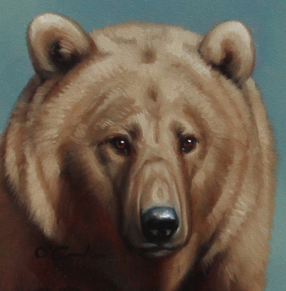 Grizzly Portrait - Jennifer O'Cualain