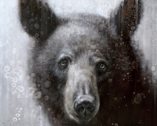 Inquisitive - David Riley
