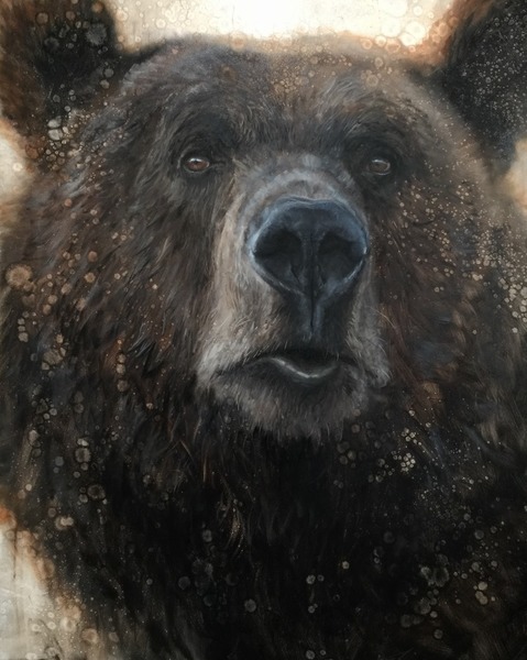 Grizzly - David Riley