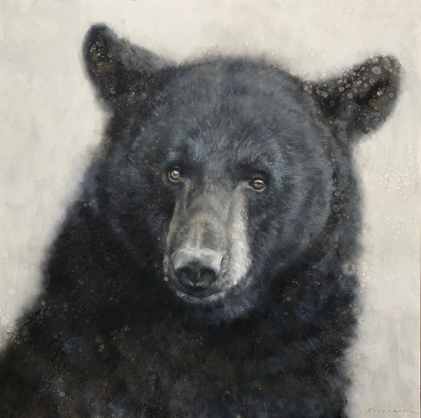 Wisen Black Bear - David Riley