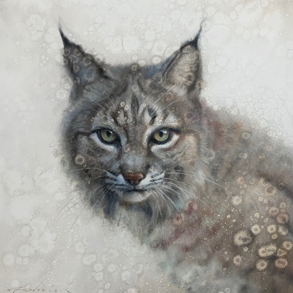 Wisen Bobcat - David Riley